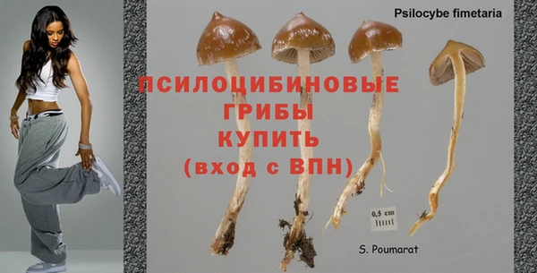 соль курить ск Аркадак